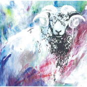 抐嵾偺僼傿乕僪僶僢僋