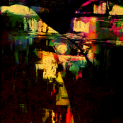 The Feather Screams Beneath the Tree