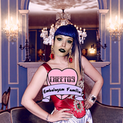 Cheetos: Embalagem Família