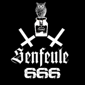 senfeule 666