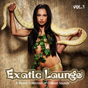 Exotic Lounge (From Buddha Oriental India Chillout to Cafe Balearic Ibiza Collection)