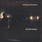 Beat of the Mesozoic
