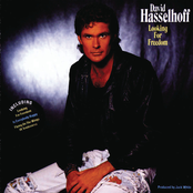 Flying On The Wings Of Tenderness by David Hasselhoff