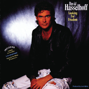 Lady by David Hasselhoff