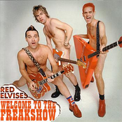 Groovie by Red Elvises