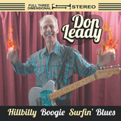 Hillbilly Boogie Surfin' Blues