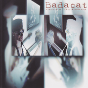 Badacat