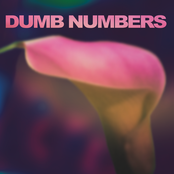 The Broken Promise by Dumb Numbers