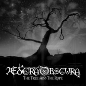 The Tree and the Rope