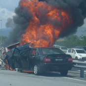 The Political State of The World RIGHT NOW