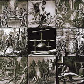 Crawling From the Wreckage