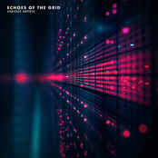 Echoes of the Grid