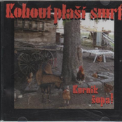 Kurnik šopa