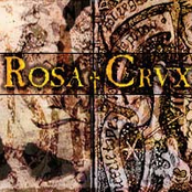 rosa+crux