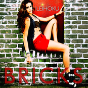 Bricks - Single