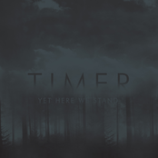 Luma by Timer