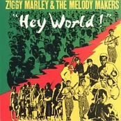 Police Brutality by Ziggy Marley & The Melody Makers