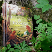 Ein Mädchen namens Willow 1: Ein Mädchen namens Willow