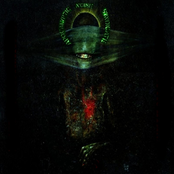 Florida Collection (2013-2016)