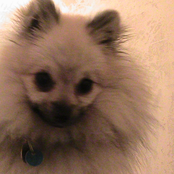 people frighten me e.p.(2003)