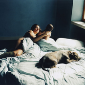 un chien sur le port