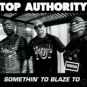 top authority