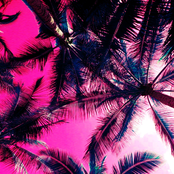 ＳＵＭＭＥＲ 夢