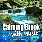 Calming Brook with Music