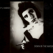 Somebody's Down, Somebody's Name by Pj Harvey