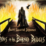 Ashes Of The Burned Bridges