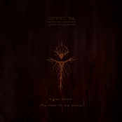 The Path Of The Shaman