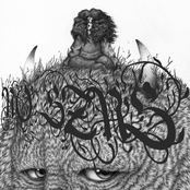 NO SZNS - Single