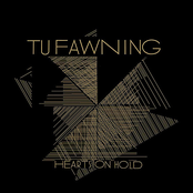 Just Too Much by Tu Fawning