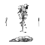 I Made My Sacrifice Accordingly