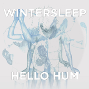 Saving Song by Wintersleep