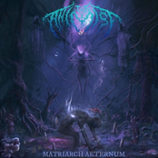 Matriarch Aeternum