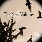 The New Vultures