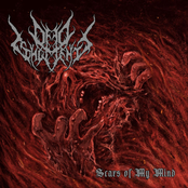 Scars of My Mind