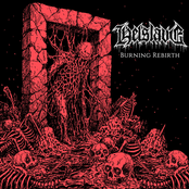 Burning Rebirth