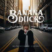 Mi Promesa Más Sincera