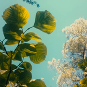 A Hymn For Today Volume 4