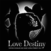Love Destiny: Mathew Knowles and Music World Present, Volume 1