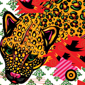 Thao Nguyen: The Sound The Hare Heard