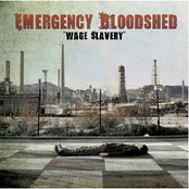 We Had Our Words Stolen by Emergency Bloodshed