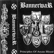 Principles Of Aryan Blood