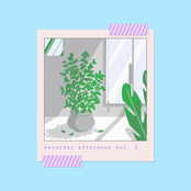 Saturday Afternoon, Vol. 2
