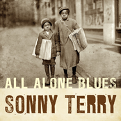 Twelve Gates To The City by Sonny Terry