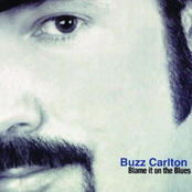 Blame it on the Blues