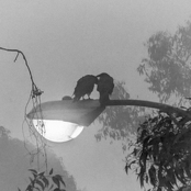 she makes me nervous