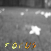 Focus